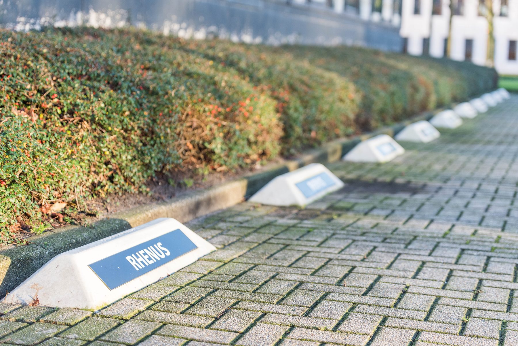 Rij PARKMARKS langs een groene haag bij een bedrijfspand